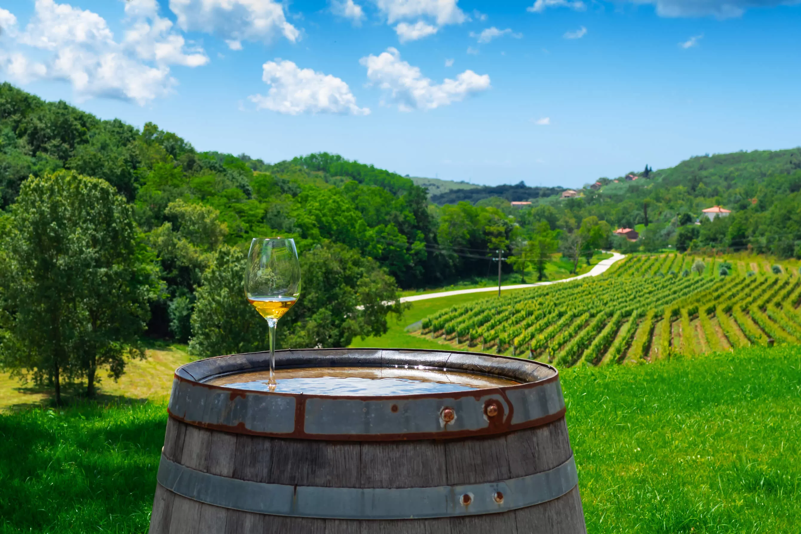 Istria is known for world-class wines