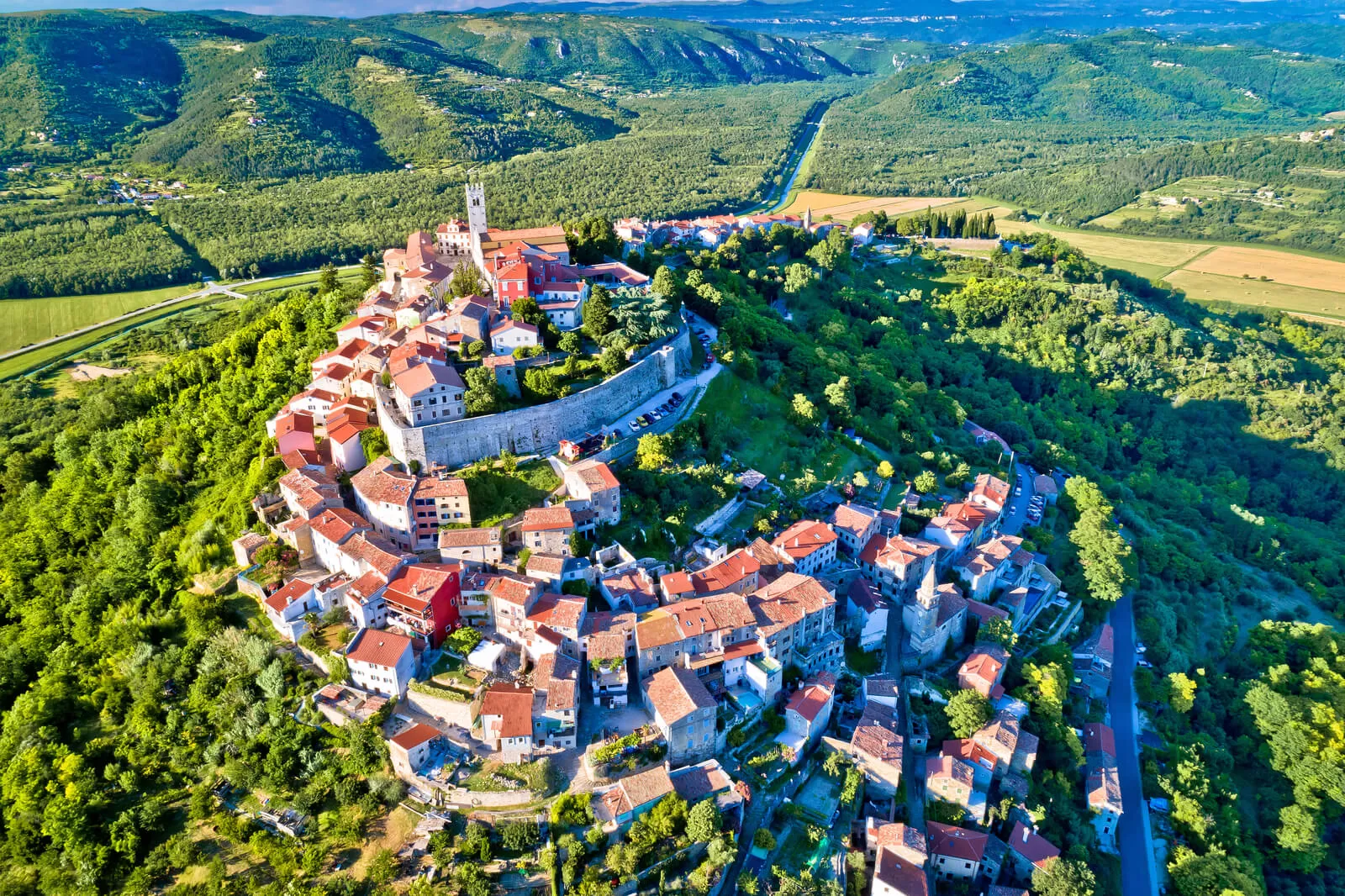 The magical Istrian town of Motovun with beautiful pine forests where the famous Istrian truffles are found