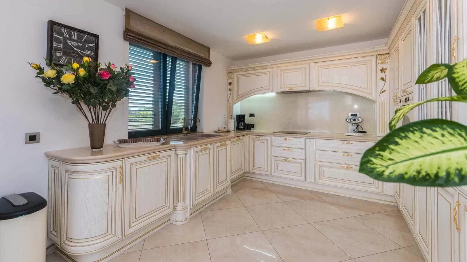 Villa Elvira's Dream