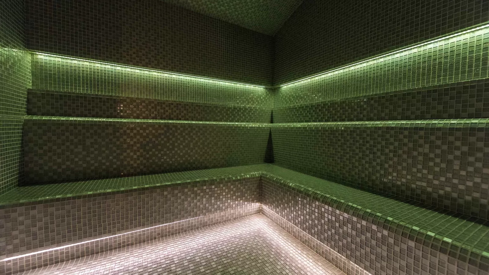 Villa Elvira's Dream